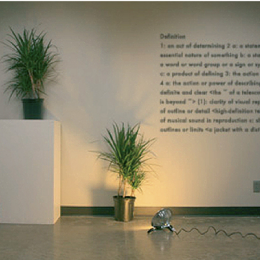 1 and 3 Plants, installation, 2008